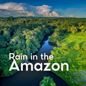 Rain in the Amazon - Rain for Deep Sleeping