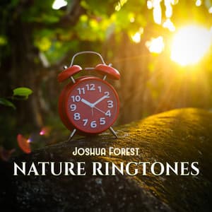 Nature Ringtones: Gentle Wake Up, Happy Morning, Nature Alarm Clock - Joshua Forest