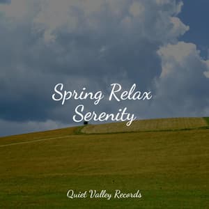 Spring Relax Serenity - Musique Zen Garden