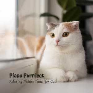 Piano Purrfect: Relaxing Nature Tunes for Cats - Ambient Nature Sounds