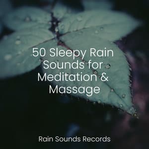 50 Sleepy Rain Sounds for Meditation & Massage - Sleepy Night Music