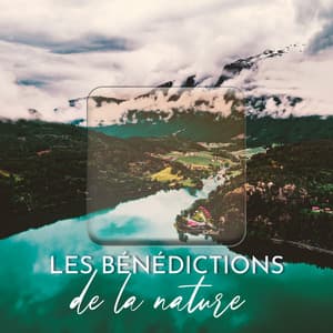 Les bénédictions de la nature: Sons terrestres de l'eau et des oiseaux pour apaiser votre système nerveux et calmer votre anxiété - Calm Nature Oasis