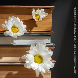 Música de Fondo para la Lectura y la Concentración: Enfoque y Atención, Energía Mental - Deep Concentration Project