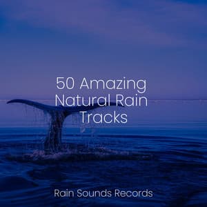 50 Amazing Natural Rain Tracks - White Noise Therapy