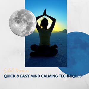 Quick & Easy Mind Calming Techniques - Silent Dreamer