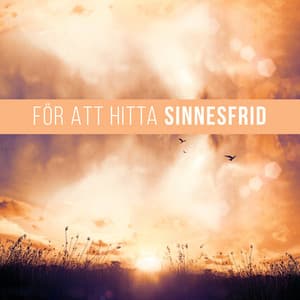 För att Hitta Sinnesfrid: Lugna ner Dig, Stressavlastning, Avslappning - Zen Musik Akademi