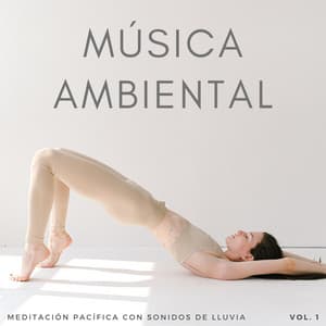 Música Ambiental: Meditación Pacífica Con Sonidos De Lluvia Vol. 1 - Meditación Lluvia Sonidos