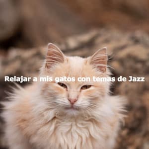 Relajar a mis gatos con temas de Jazz - Hintergrund Jazz Musik