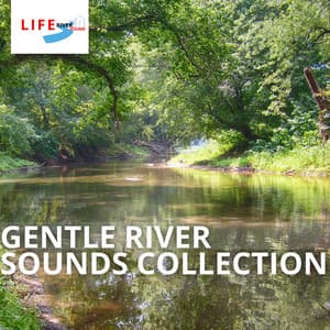 Gentle River Sounds Collection - Life River Sound