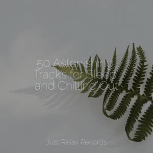 50 Astonishing Tracks for Sleep and Chilling Out - Reiki Tribe