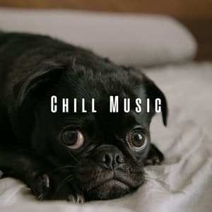 Chill Music: Dogs' Dreamtime Serenity - Chill Vibes