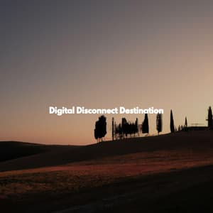 Digital Disconnect Destination - Smooth Light Restaurant Music