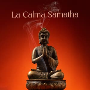 La Calma Samatha: Meditación Budista para Aquietar la Mente y Lograr un Estado de Concentración - Meditación Budista Zen