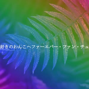 遊び好きのわんこへファーエバー・ファン・チューン - Slow Jazz