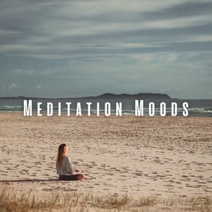Meditation Moods: Chill Music for Deep Mindfulness - The Silent Minds
