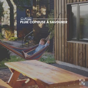 Pluie copieuse à savourer - Pluie et tonnerre