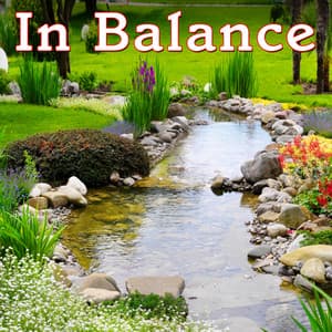 In Balance - Dr. Meditation