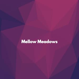 Mellow Meadows - Jazz Music for Studying