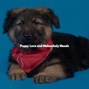Puppy Love and Melancholy Moods - Easy Jazz Listening