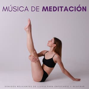 Música De Meditación: Sonidos Relajantes De Lluvia Para Enfocarte Y Respirar - Sonidos de lluvia FX