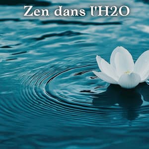 Harmonie Zen dans l'H2O: Musique Zen Relaxante avec Sons d'Eau, Ambiance Paisible pour Spa, Yoga et Détente - Zen Méditation Ambiance
