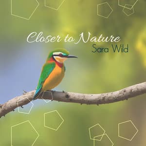 Closer to Nature: Relaxing Music for Stress Relief, Forest Birdsong Nature Sounds, Deep Healing Music for The Body - Sara Wild