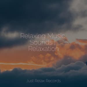 Relaxing Music Sounds | Relaxation - Meditation Awareness