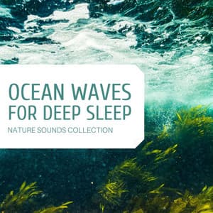 Ocean Waves for Deep Sleep: Nature Sounds Collection - Lucid Dreaming World