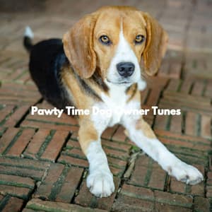 Pawty Time Dog Owner Tunes - Sleepy Dogs