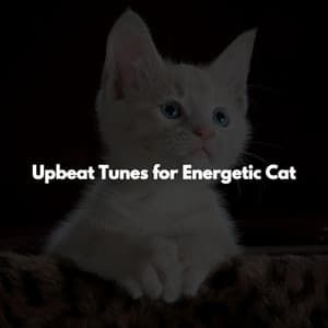 Upbeat Tunes for Energetic Cat - Dinner Music Playlists