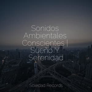Sonidos Ambientales Conscientes | Sueño Y Serenidad - Sons da natureza HD