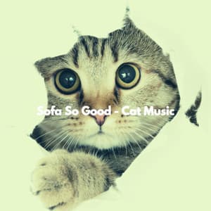 Sofa So Good - Cat Music - Easy Listening Morning Music