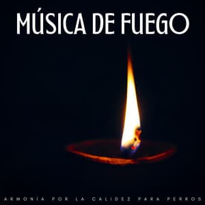 Música De Fuego: Armonía Por La Calidez Para Perros - Sonidos cálidos y fríos de fuego