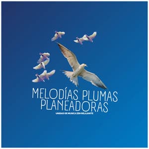 Melodías Plumas Planeadoras - Unidad de música zen relajante