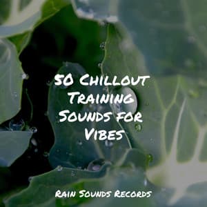 50 Chillout Training Sounds for Vibes - Relajacion Del Mar