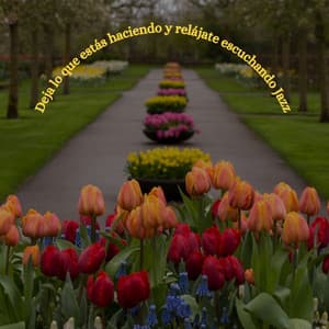 Deja lo que estás haciendo y relájate escuchando Jazz - Chilled Jazz Party