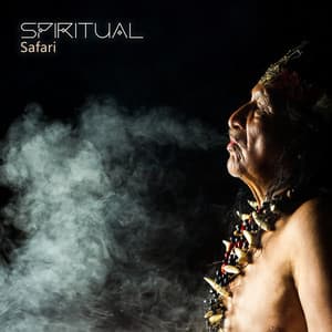 Spiritual Safari: African Drumming Meditations - African Music Drums Collection