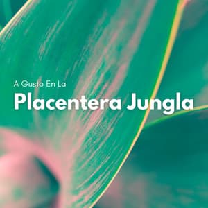 A Gusto En La Placentera Jungla - Sonidos de la jungla