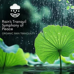 Rain’s Tranquil Symphony of Peace - Organic Rain Tranquility
