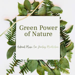Green Power of Nature. Ambient Music for Healing Meditation - Exotic Power Maker