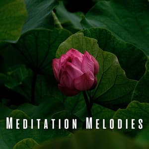 Meditation Melodies: Piano Serenades for Stillness - Pianix