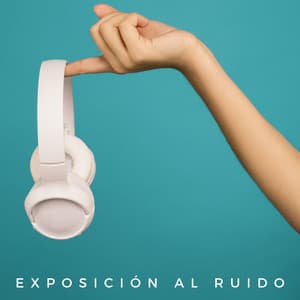 Exposición Al Ruido - Reiki y Tai Chi Armonía