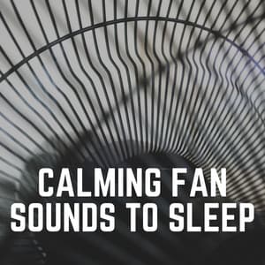 Calming Fan Sounds to Sleep - Fan Sounds For Sleep
