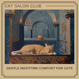 Gentle Nighttime Comfort for Cats - Cat Salon Club