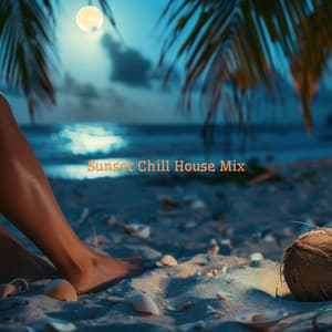 Sunset Chill House Mix: Chill Out Lounge Cafe Music, Sun Salutation, Summertime, Summer Beach Party - DJ TJESTO