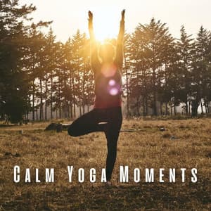 Calm Yoga Moments: Lofi Ambience for Mindful Asanas - Beats De Rap