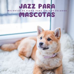 Jazz Para Mascotas: Melodías De Piano Para Amigos Peludos - Piano: relajación clásica