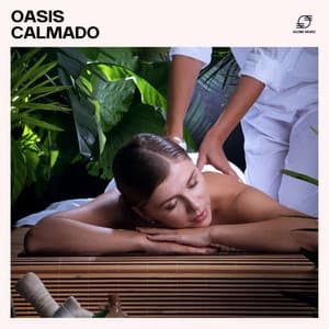 Oasis Calmado: Música Masaje Relajante - Masajes Spa