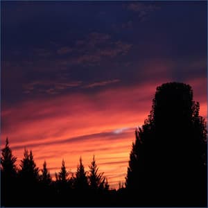 Wind Chimes - Relaxation - Ambient