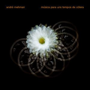 Música para uns Tempos de Cólera - André Mehmari